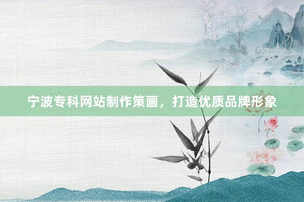 宁波专科网站制作策画，打造优质品牌形象