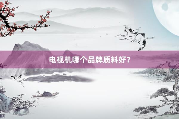 电视机哪个品牌质料好？