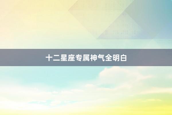 十二星座专属神气全明白