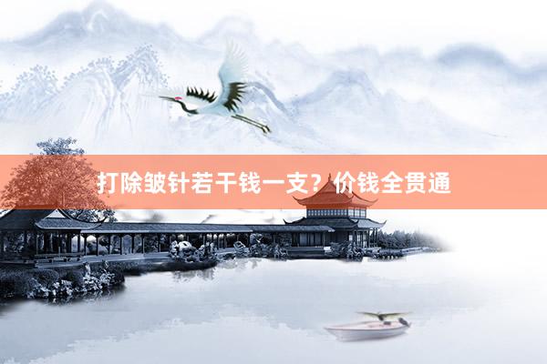 打除皱针若干钱一支？价钱全贯通